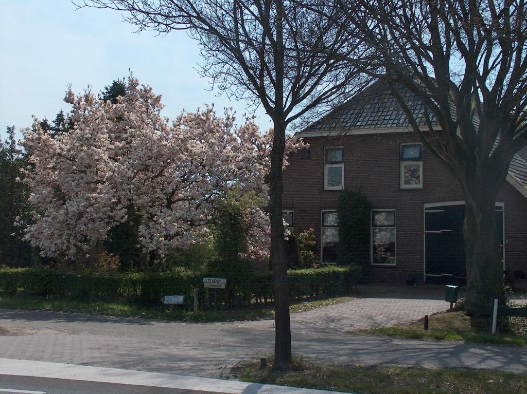 Molenvoort Bed and Breakfast Wachtum Buitenkant foto