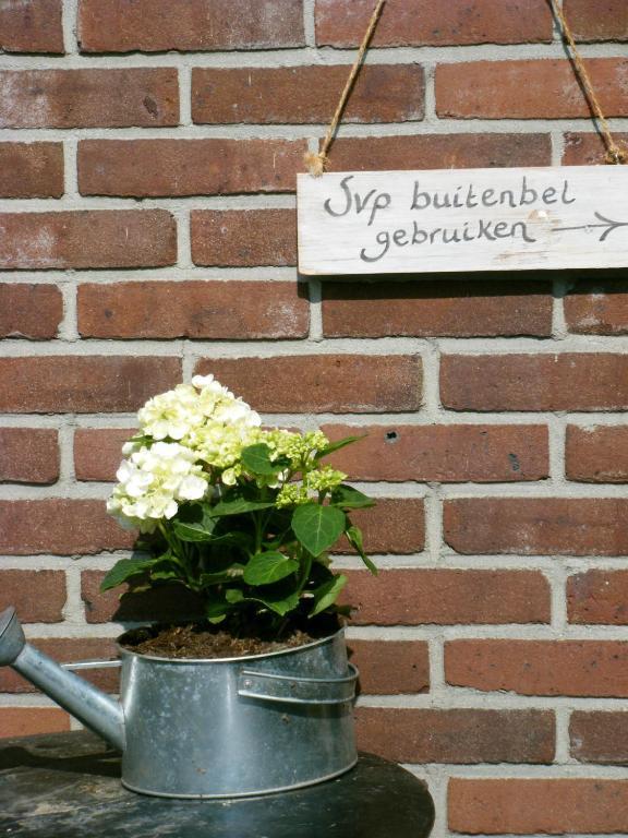 Molenvoort Bed and Breakfast Wachtum Buitenkant foto
