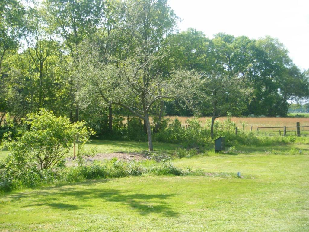 Molenvoort Bed and Breakfast Wachtum Buitenkant foto