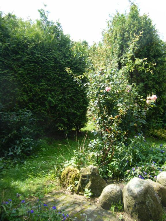 Molenvoort Bed and Breakfast Wachtum Buitenkant foto