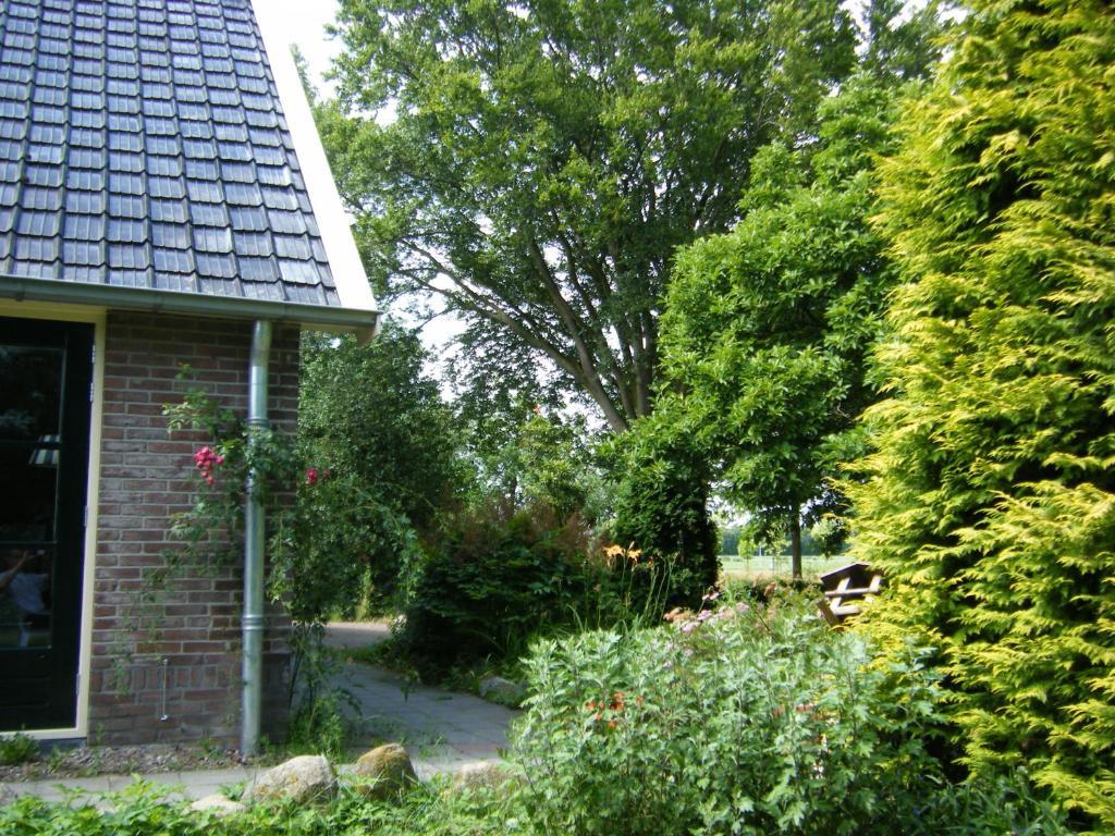 Molenvoort Bed and Breakfast Wachtum Buitenkant foto